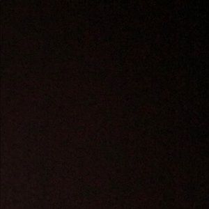 Meet your Posher, Rose